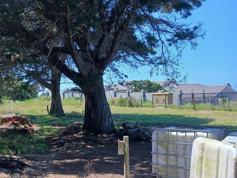 0 Bedroom Property for Sale in Tergniet Western Cape